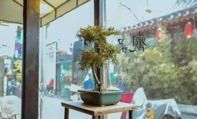 这家咖啡店不卖咖啡，敢给客人生吃生姜，却引来各路女神打卡，连陈奕迅老婆都到门口街拍