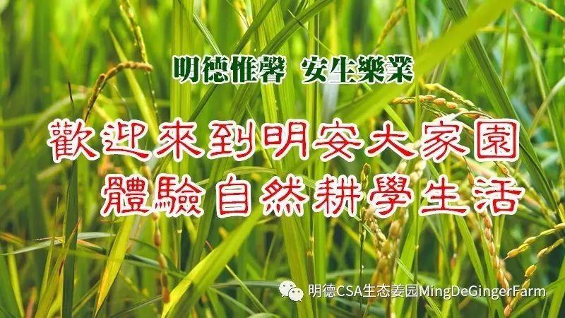 2017年4月 心法农业 福田心耕之明德CSA生态姜园'七不'小黄薑春耕喜乐开锄感恩节 邀请函