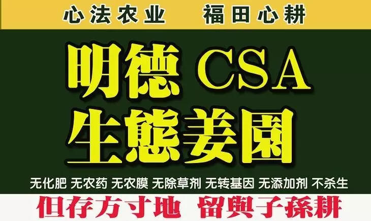 【春节放假停运公告】