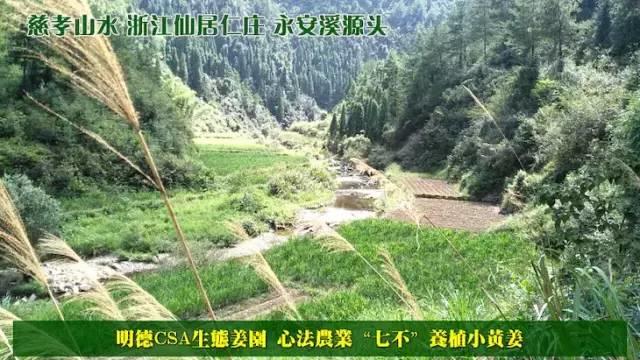 敬请参加明德CSA生态姜园年度客户满意度有奖调查