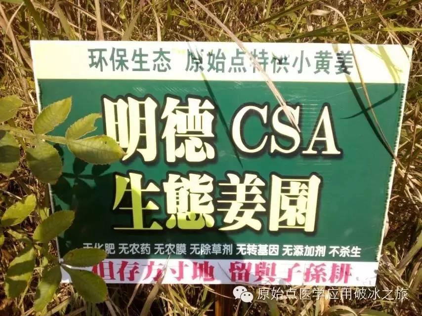 原始点人的美味泡姜做法