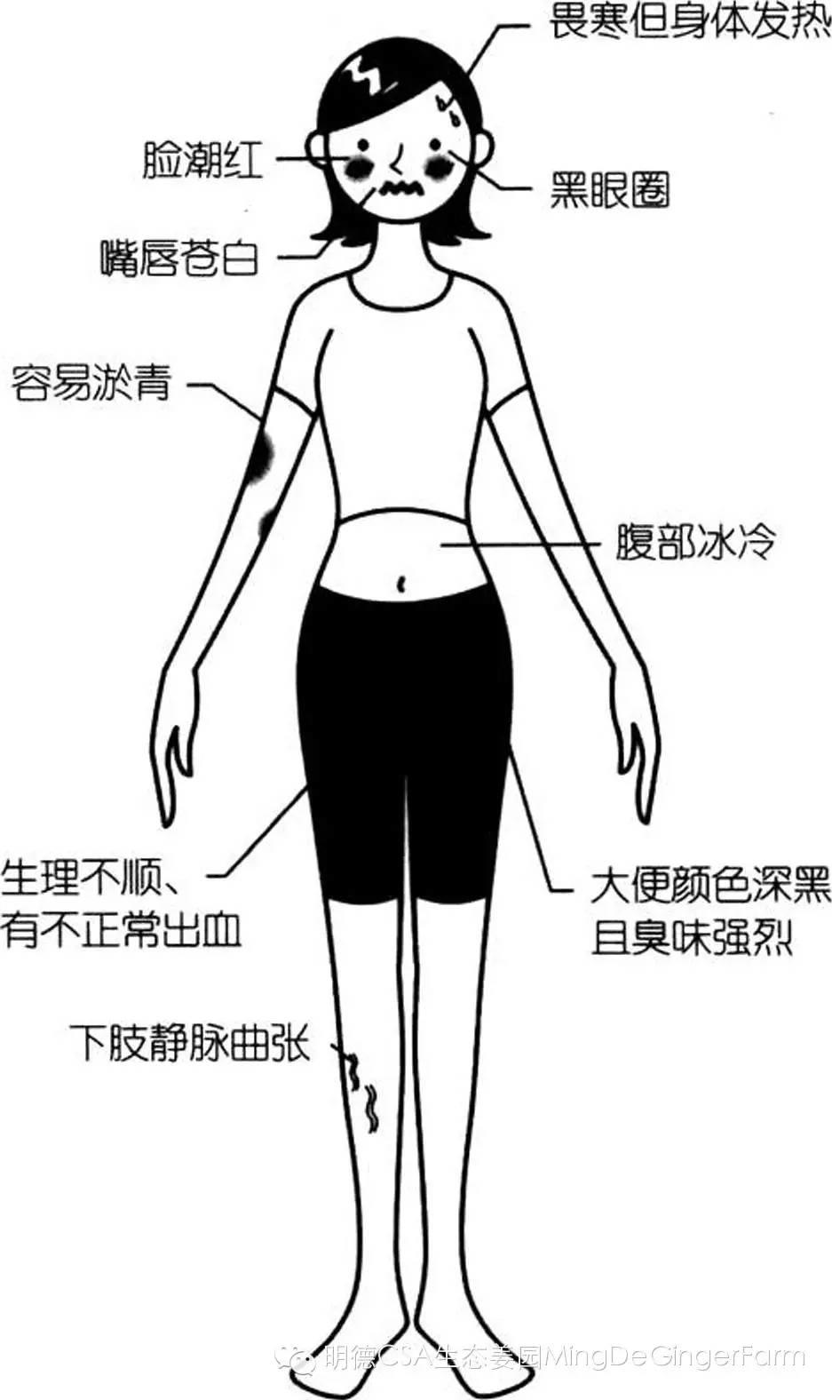 生姜养生法(4)生姜迷人功效大展示，生姜是驱寒食材的首选！-自然医学养生