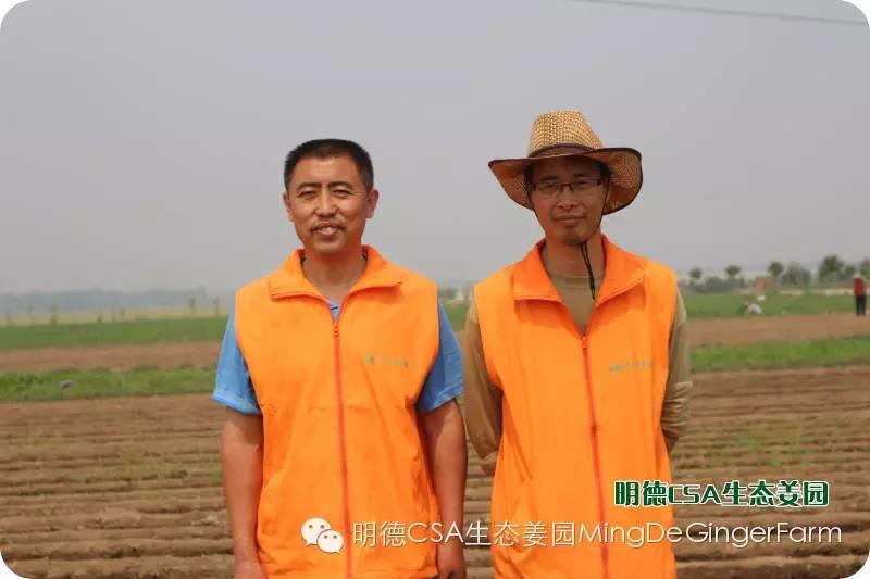 明德CSA生态姜园5月新入股东介绍 原始点志愿者 牛焕义
