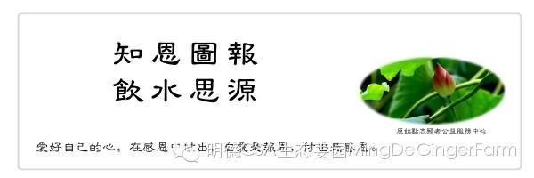 透明溯源CSA及PGS姜园发起股东及创业团队