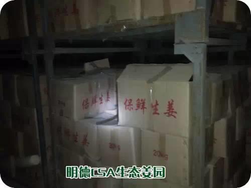 CSA生态姜园的选址：东方圣城曲阜姚村镇现代农业科技示范园