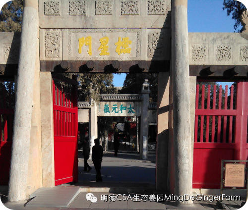 明德CSA姜园 山东圣城曲阜祀天