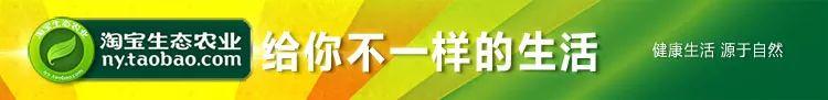 预售团购2018年11月‘七不’小黄姜鲜姜5斤 明德生态姜园心法农业恭献