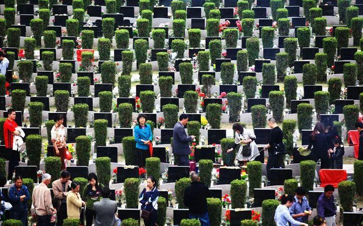 清明,祭祖扫墓,祭奠英烈!国人的感恩节! 清明,祭祖扫墓,祭奠英烈!国人的感恩节!