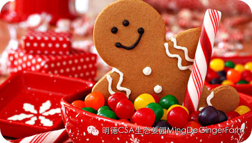 圣诞姜饼-最能代表圣诞节的食物 圣诞姜饼-最能代表圣诞节的食物