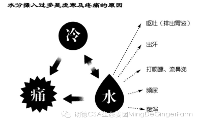 生姜养生法(2)我们的身体为什么会如此虚寒？ -自然医学养生专家石原结实