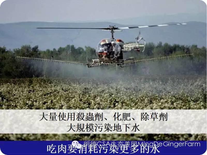 农药、化肥、激素给人类的环境带来巨大的危害！