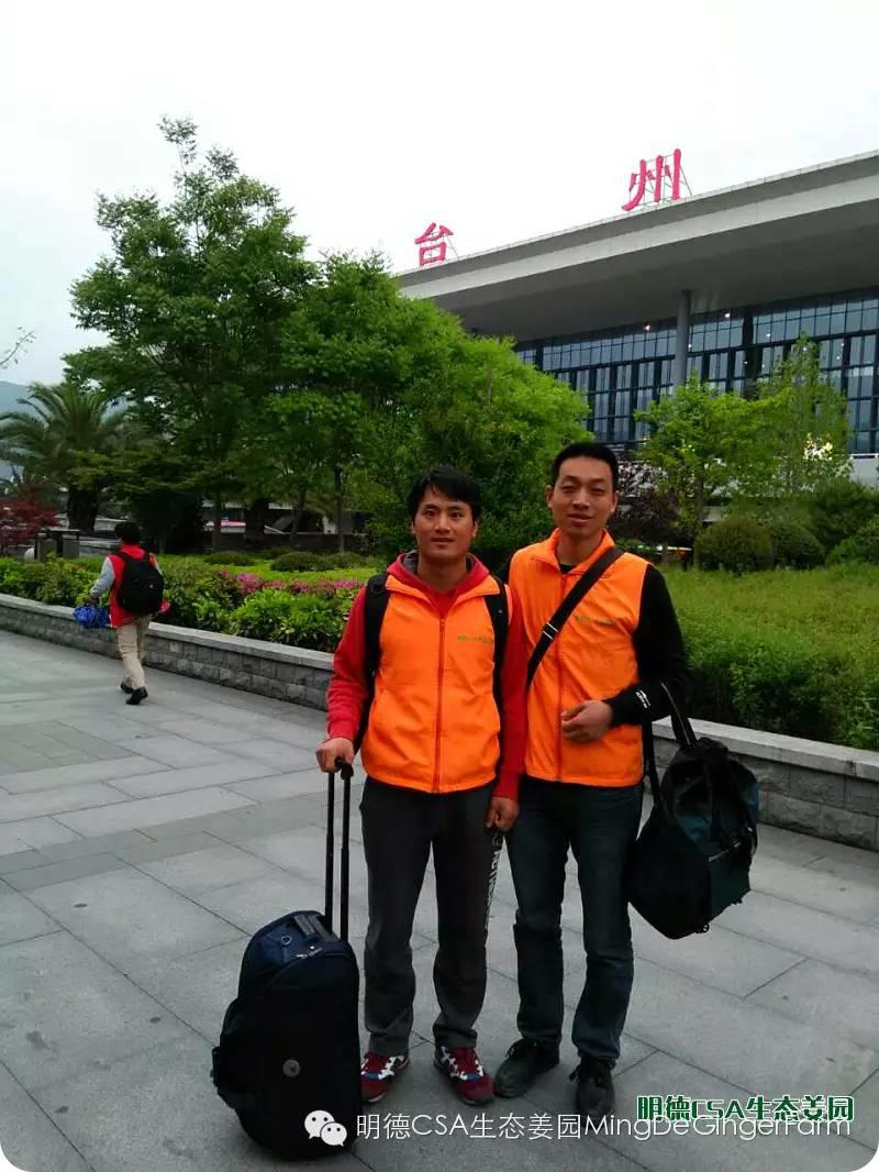 明德CSA生态姜园 浙江仙居仁庄村“七不”小黄姜基地介绍