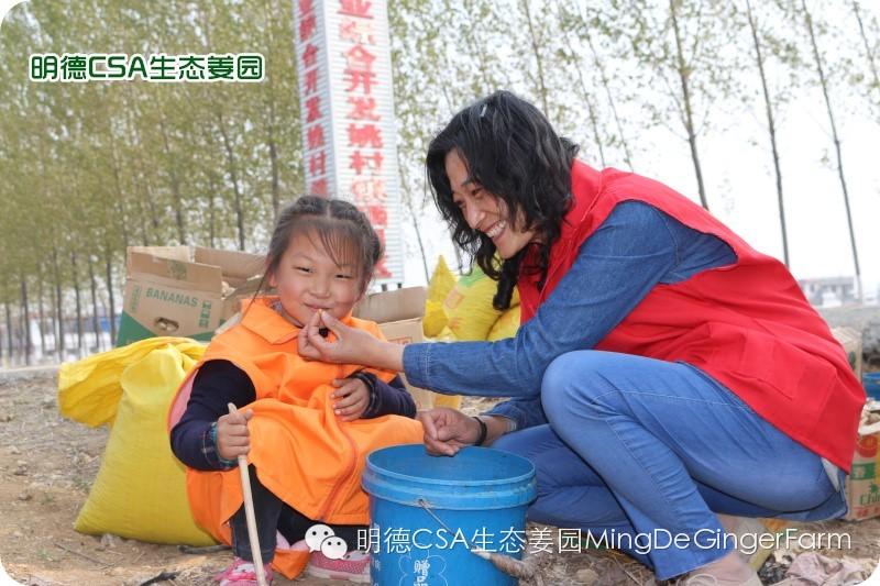 小黄姜种植技术图文详解