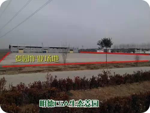 CSA生态姜园的选址：东方圣城曲阜姚村镇现代农业科技示范园