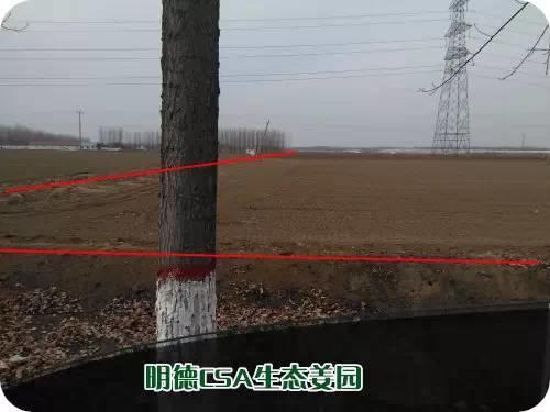 CSA生态姜园的选址：东方圣城曲阜姚村镇现代农业科技示范园