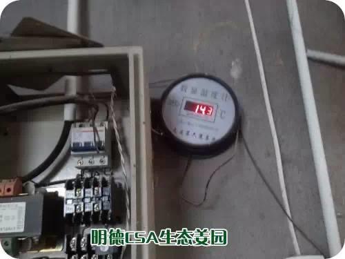 CSA生态姜园的选址：东方圣城曲阜姚村镇现代农业科技示范园