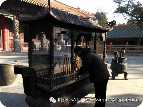 明德CSA姜园 山东圣城曲阜祀天