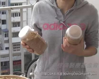[姜的应用分享] 姜粉制作与使用方法及用姜粉刷牙