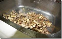 [姜的应用分享] 姜粉制作与使用方法及用姜粉刷牙