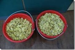 [姜的应用分享] 姜粉制作与使用方法及用姜粉刷牙