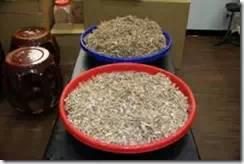 [姜的应用分享] 姜粉制作与使用方法及用姜粉刷牙