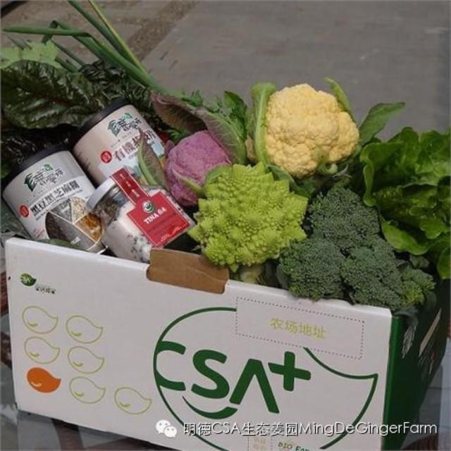 CSA社区支持农业-七不姜 生姜养生网-明德CSA生态姜园&明安农业