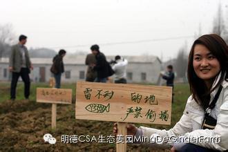 CSA社区支持农业
