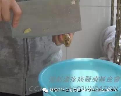 [姜的应用分享] 姜粉制作与使用方法及用姜粉刷牙