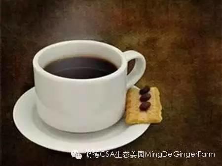 第一个见到生姜的欧洲人,居然是他! 第一个见到生姜的欧洲人,居然是他!