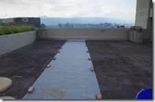 [姜的应用分享] 姜粉制作与使用方法及用姜粉刷牙