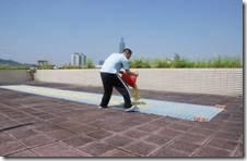 [姜的应用分享] 姜粉制作与使用方法及用姜粉刷牙