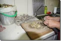 [姜的应用分享] 姜粉制作与使用方法及用姜粉刷牙