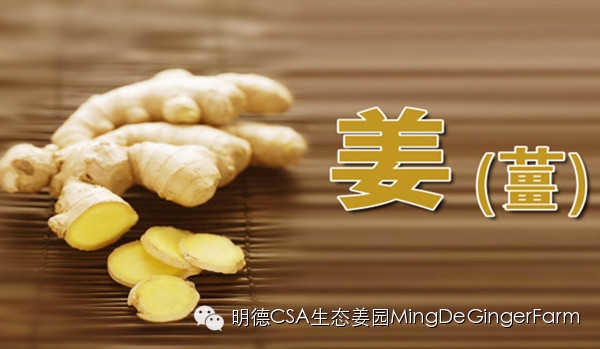 传统姜文化与名人说