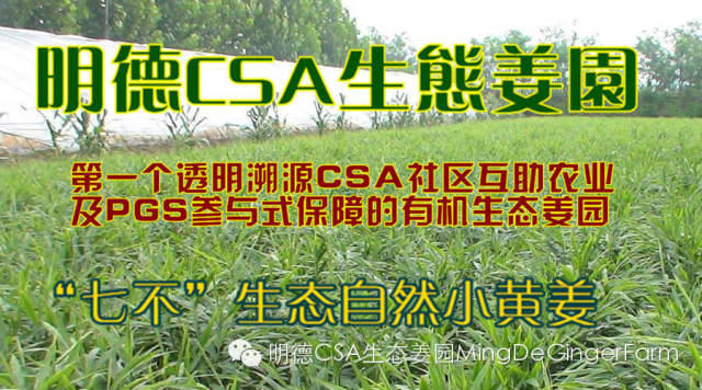 传统姜文化与名人说