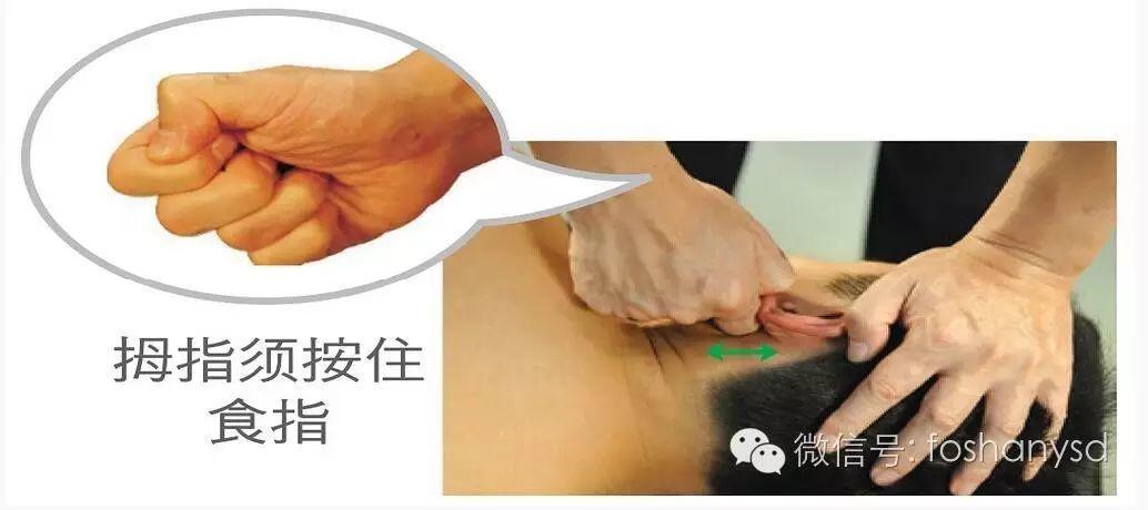 各部位原始点位置及其涵盖范围(头部 颈部)