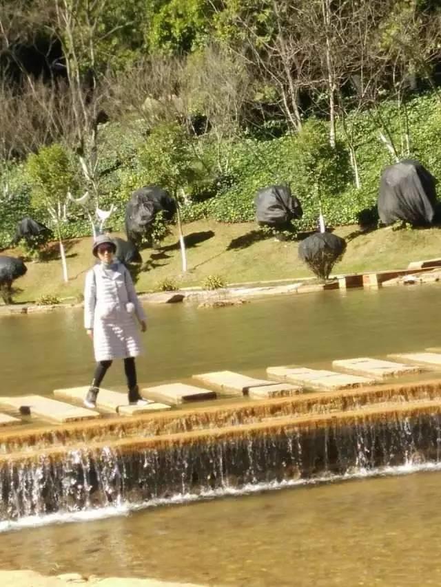 原始点调理乳腺癌：《柳暗花明又一村》