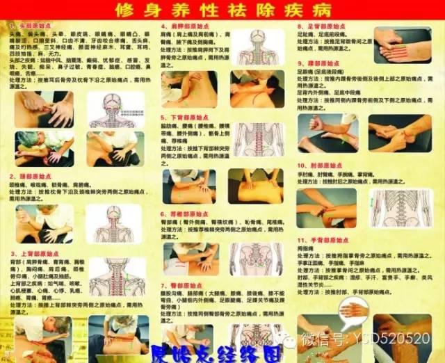 原始点究竟有多厉害，足以颠覆目前所有医学领域