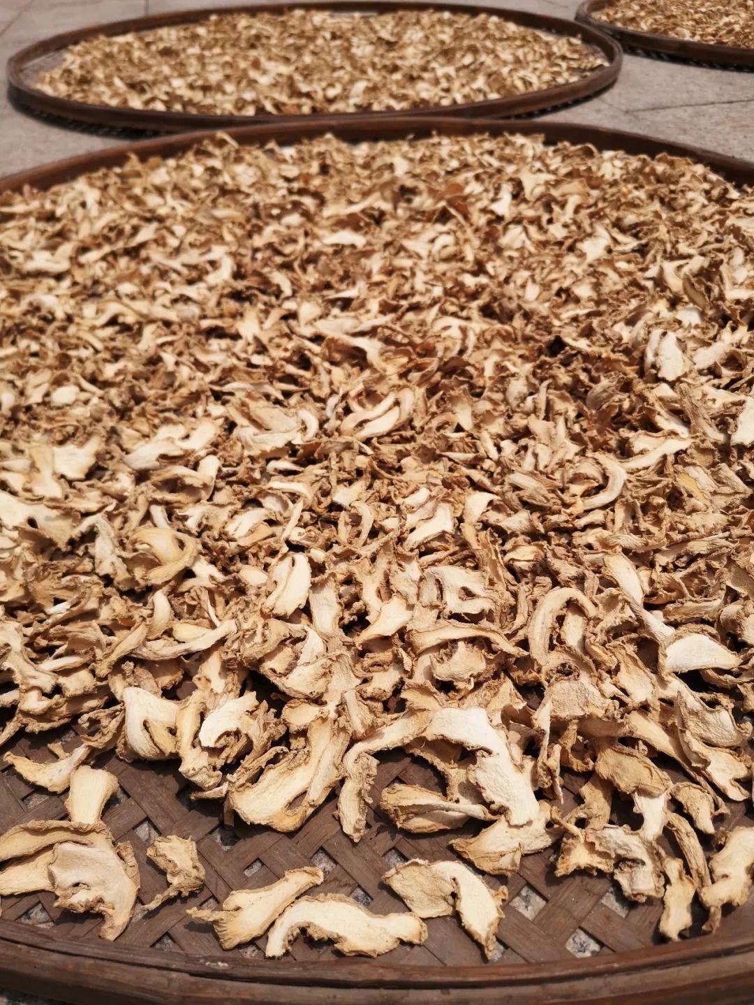 官宣:关于九蒸九晒干姜粉,目前为止最为详尽! 官宣:关于九蒸九晒干姜粉,目前为止最为详尽!