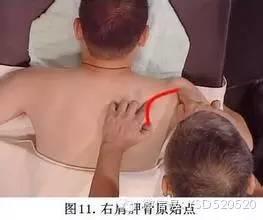 原始点究竟有多厉害，足以颠覆目前所有医学领域