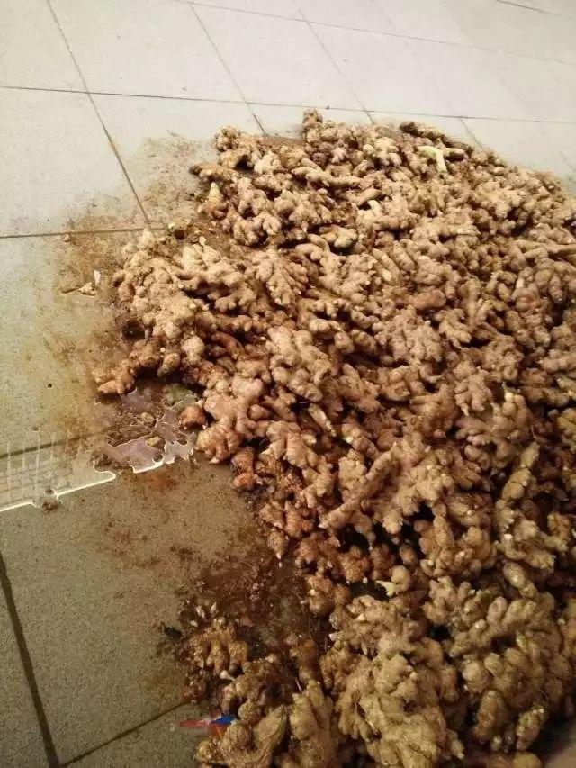 原始点调理乳腺癌：《柳暗花明又一村》