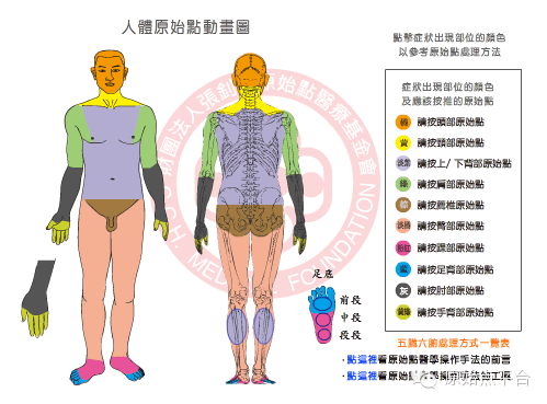 【原始点价值】原始点疗法推揉教战守则，仅供学员收藏！