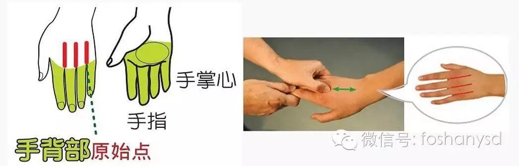 各部位原始点位置及其涵盖范围 (足背部 肘部 手背部)