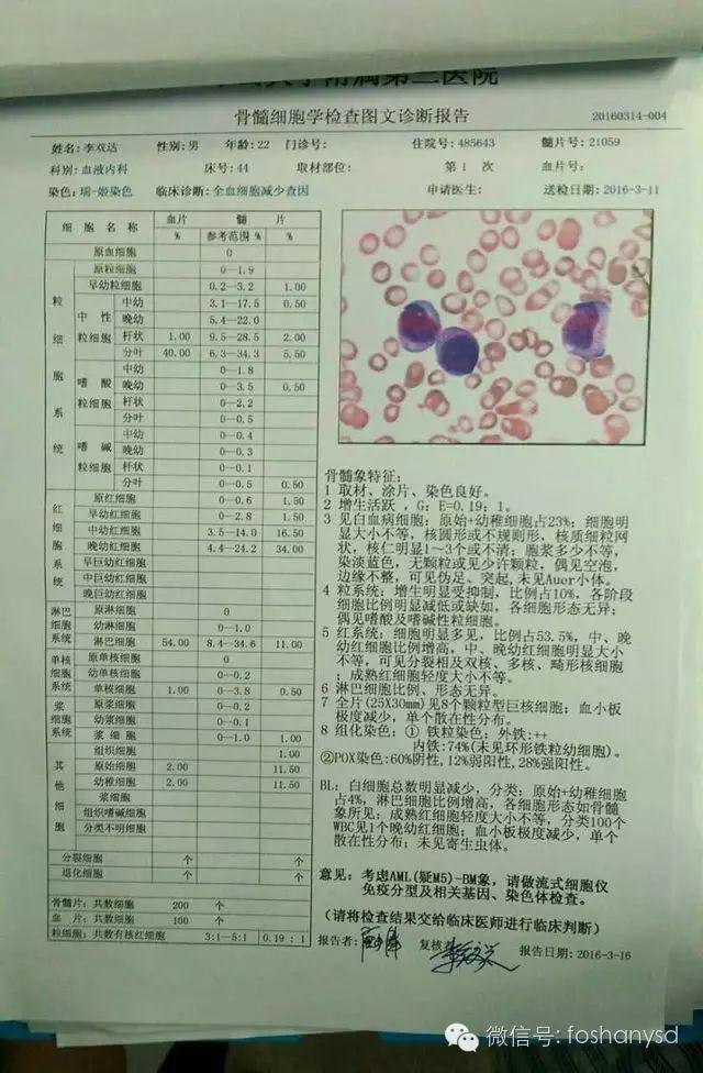 白血病案例：《向死而生》