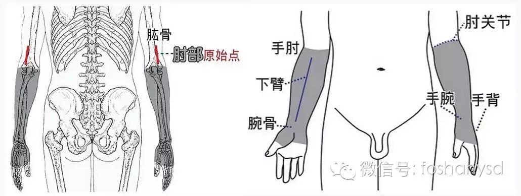 各部位原始点位置及其涵盖范围 (足背部 肘部 手背部)