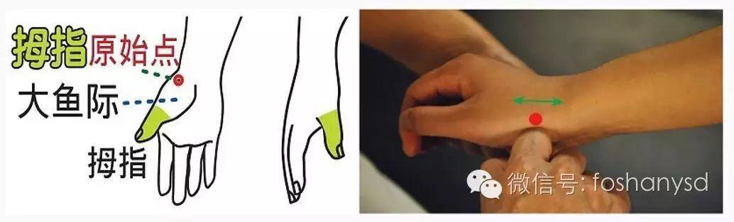 各部位原始点位置及其涵盖范围 (足背部 肘部 手背部)