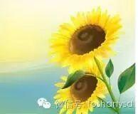 恭贺 | 广州市番禺原始点传承爱心公益服务站 将于9月20日开业-七不姜 生姜养生网-明德CSA生态姜园&明安农业