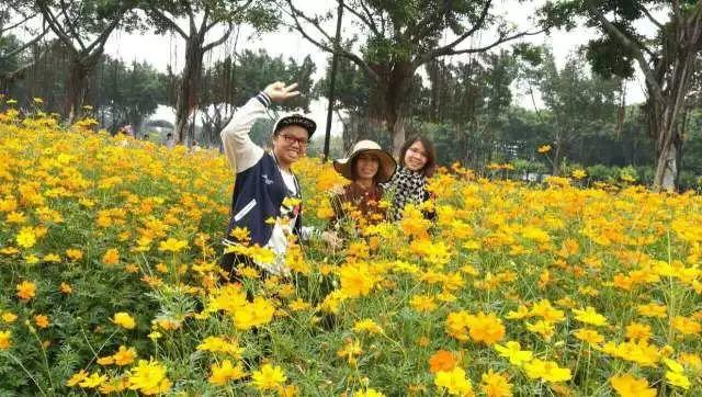 原始点调理中脑管口狭窄脑积水：65天，从黑暗到光明