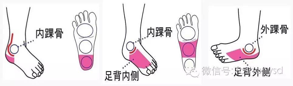 各部位原始点位置及其涵盖范围(臀部 踝部)