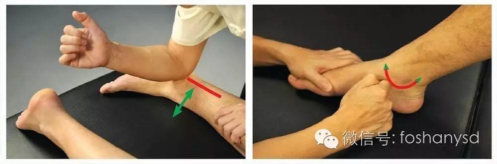 各部位原始点位置及其涵盖范围(臀部 踝部)