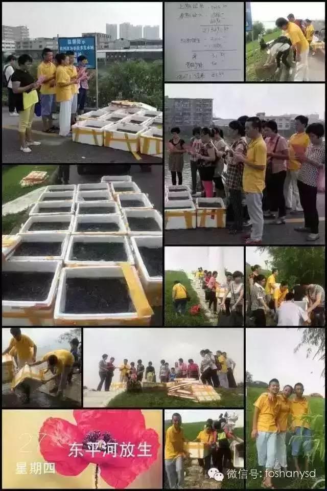 [中元节] 佛山原始点传承爱心公益中心举行放生活动-七不姜 生姜养生网-明德CSA生态姜园&明安农业